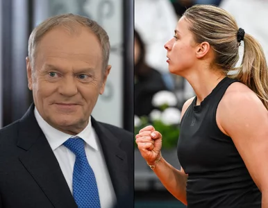 Miniatura: Donald Tusk zachwycony Mają Chwalińską....