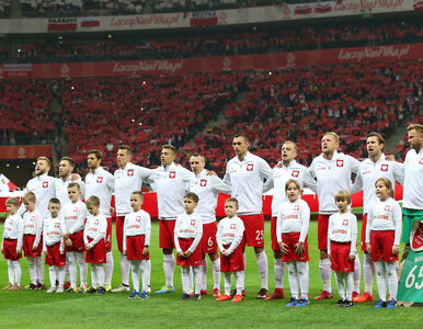 Miniatura: Ranking FIFA: Polska kończy rok na 7. miejscu