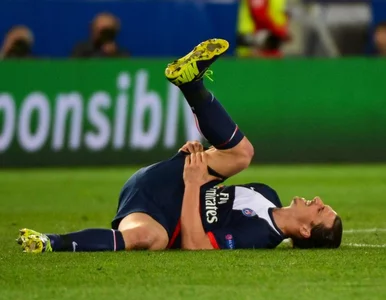 Miniatura: Ibrahimović nie zagra przez kilka tygodni