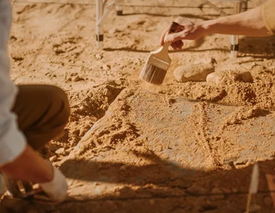 Miniatura: Krypta pełna sekretów. Sensacyjne...