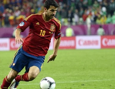 Miniatura: Cesc Fabregas znał wyniki Euro... przed...