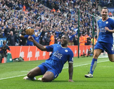 Miniatura: Szampany zostają w lodówce. Leicester City...