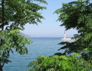 Miniatura: Trener Ukraińców: zgrupowanie w Turcji...