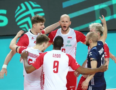 Miniatura: Zauważony przez Nikolę Grbicia, teraz...