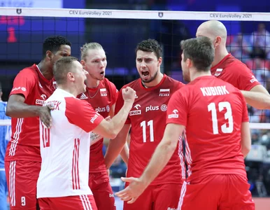 Miniatura: Polscy siatkarze rozpoczynają zmagania w...