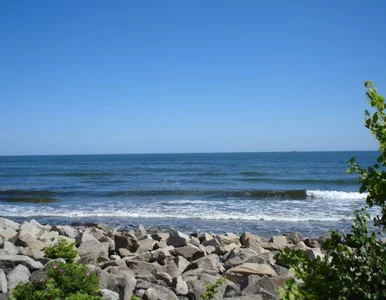 Miniatura: Nie tylko Auschwitz. Niemiecka delegacja...