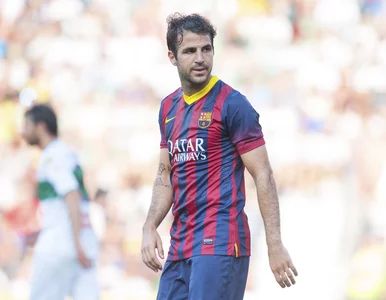 Miniatura: Pique wygadał się. Fabregas zagra w Chelsea?