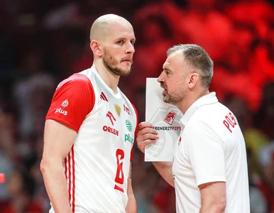 Miniatura: Nikola Grbić dokonał kluczowych wyborów....