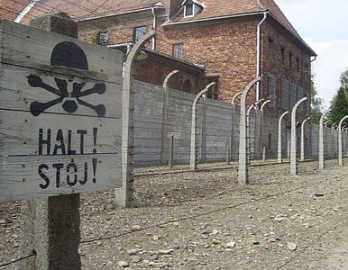 Miniatura: Euro 2012: włoska kadra odwiedzi Auschwitz