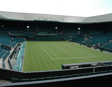 Polak zagra w półfinale Wimbledonu
