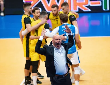 Miniatura: Kompletny chaos w klubie z PlusLigi. Słowa...