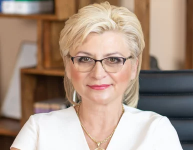 Miniatura: Rodzeństwo jako układ właścicielski w...