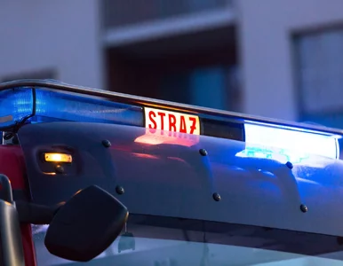 Miniatura: Potężny pożar Biedronki. Kłęby czarnego...