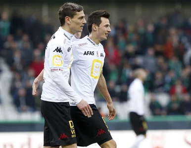 Miniatura: Wolski wrócił do życia. Dwa gole w Belgii