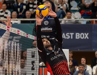 Miniatura: Nikola Grbić może zacierać ręce....