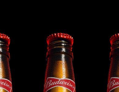 Budweiser nie sprzeda piwa w Katarze. Firma ogłosiła co zrobi z...
