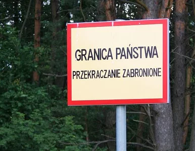 Miniatura: Z Ukrainy do Polski "pasem Euro"