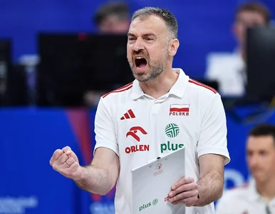 Miniatura: Nikola Grbić porównał polskiego siatkarza...