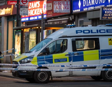 Miniatura: Zawodnik Tottenhamu ofiarą internetowej...