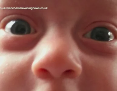 Miniatura: Ojciec wystawił na aukcję... preferencje...