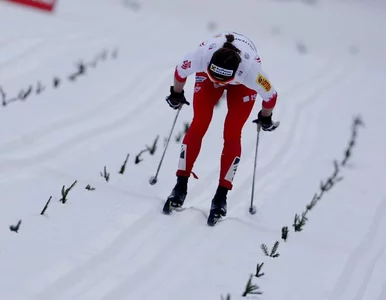 Miniatura: Kowalczyk nie wystartuje w Tour de Ski....