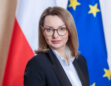 Miniatura: Dymisja w Ministerstwie Finansów. Dyrektor...