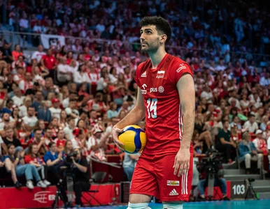 Miniatura: Reprezentant Polski widzi elementy do...