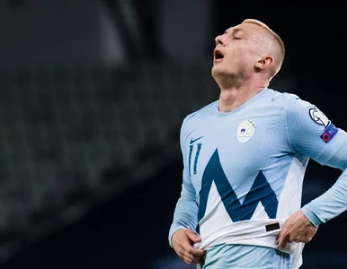 Miniatura: Pierwsze wzmocnienie Legii Warszawa....