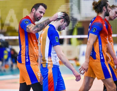 Miniatura: Kolejny hit transferowy. Gwiazda siatkówki...