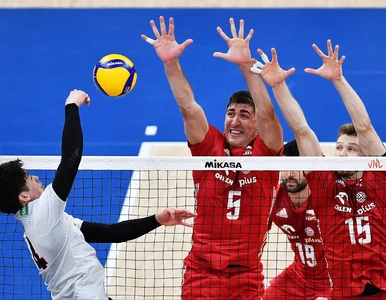 Miniatura: Polacy z olbrzymim sukcesem....