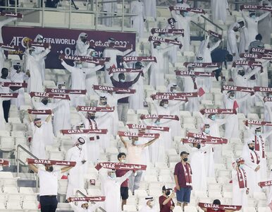 Miniatura: Rząd Kataru ogłosił: Mistrzostwa świata...
