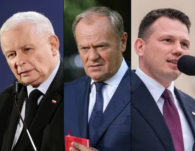 Miniatura: Najnowszy sondaż partyjny. Wyborcy KO i...