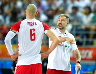 Miniatura: Nikola Grbić wytknął największy problem...