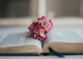 Miniatura: QUIZ na niedzielny wieczór. Uważaj na „byki”