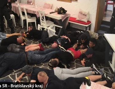 Miniatura: Słowacy surowi dla pseudokibiców Cracovii....