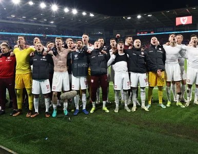 Miniatura: Kręta droga Polaków na Euro. Ekspert...