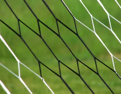 Miniatura: Koszmarny test płci piłkarki z Gwinei....