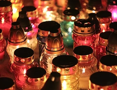 Miniatura: Nie żyje były reprezentant Polski w piłce...