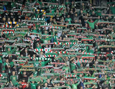 Miniatura: To będzie rewolucja na polskich...