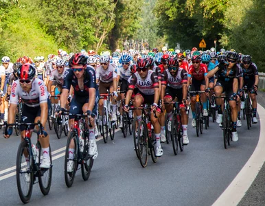 Miniatura: Piąty etap Tour de Pologne. Arndt wygrywa,...