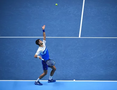 Miniatura: Australian Open. Novak Djoković skłamał?...