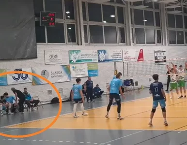 Miniatura: Uderzył siatkarza na meczu. Kontrowersyjna...