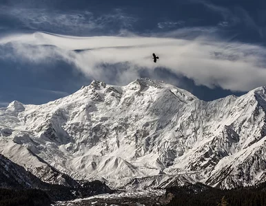 Miniatura: Akcja ratunkowa na Nanga Parbat. Ruszyła...