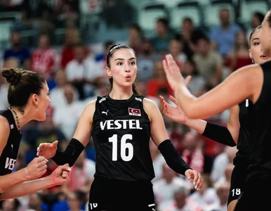 Miniatura: Wielki transfer w siatkówce kobiet....