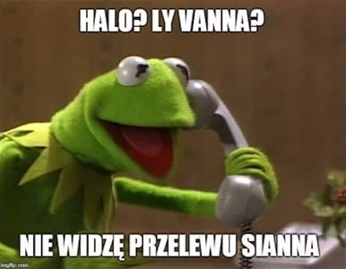 Miniatura: „Nie przelewa się” w Wiśle Kraków....