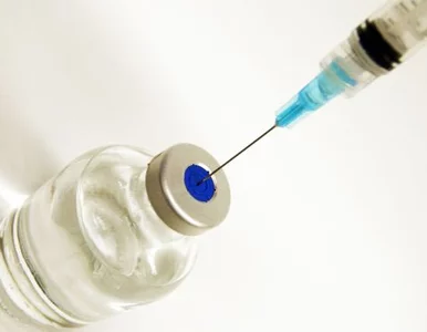 Miniatura: Niemieccy piłkarze trzeci raz poddani...