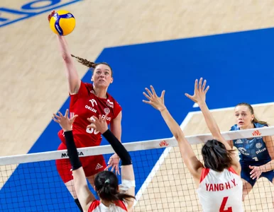 Miniatura: Nasze siatkarki jak zaprogramowane do...