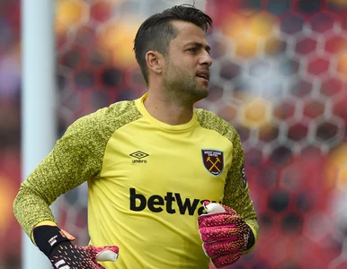 Miniatura: Drużyna Łukasza Fabiańskiego wraca do gry...