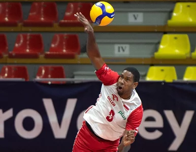 Miniatura: Wilfredo Leon nie dowierzał w nowy rekord...