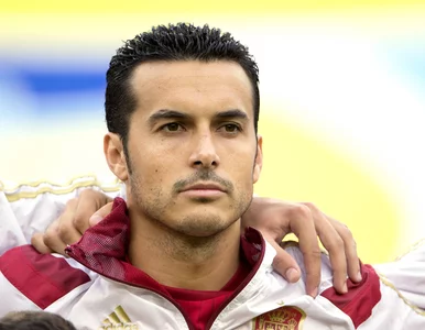 Miniatura: El. ME: Hiszpanie wreszcie odbili się od...